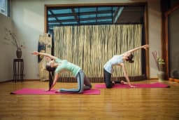 The yog house