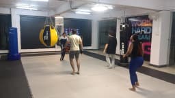 Majesty Martial Arts & Fitness