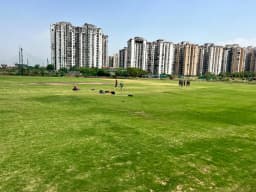 SJS cricket ground