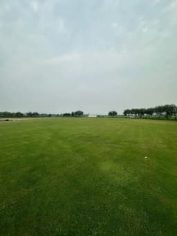 Own cricket club 2