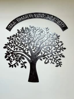 Maa Bharti Yog Academy