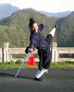 Shaolin and Wudang Kung-Fu Federation of India